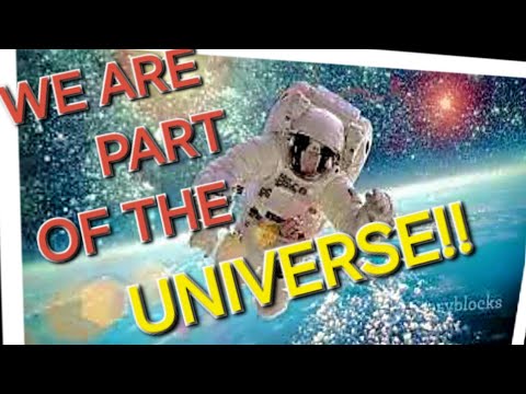 The Cosmic Tapestry: Life's Fabric in the Universe WE ARE STARDUST