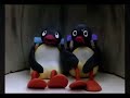 Pingu Breaks The Window