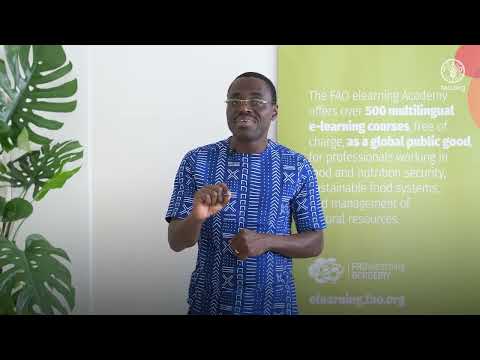 Académie elearning de la FAO : Intégration des cours de suivi des forêts dans le master programme