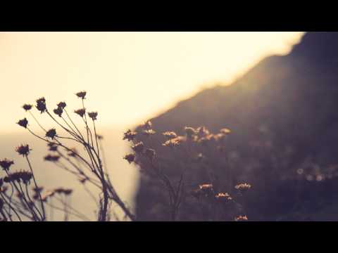 Olivier Weiter - March of the Violin