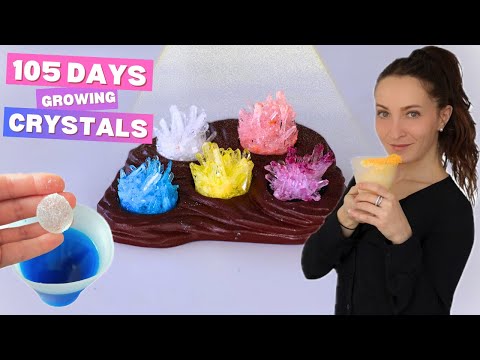 I Spent 105 Days Growing Crystals