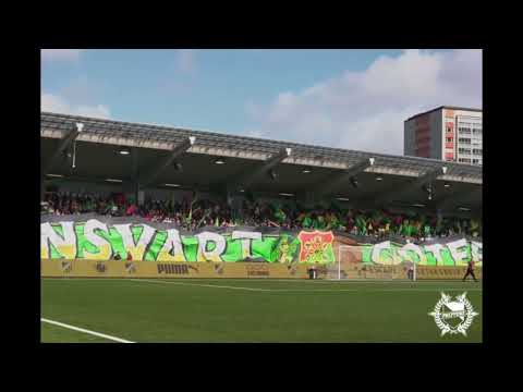 GAIS supportar i bortamatchen mot BK Häcken