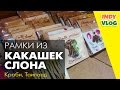 Фабрика по изготовлению бумаги из какашек слона в Краби Таиланд 