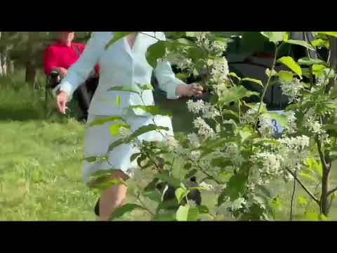 Eternal Holiday (Rus Pitmark Daily Holiday x Trels Inspiration).