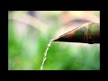 Kill Bill Water 💦Fountain with Light Rain 🌧 Sounds | Shishi Odoshi | Ultimate Relaxation | 4 Hours