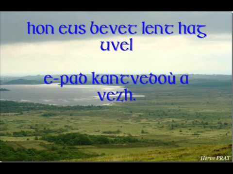 Ar chas doñv yelo da ouez