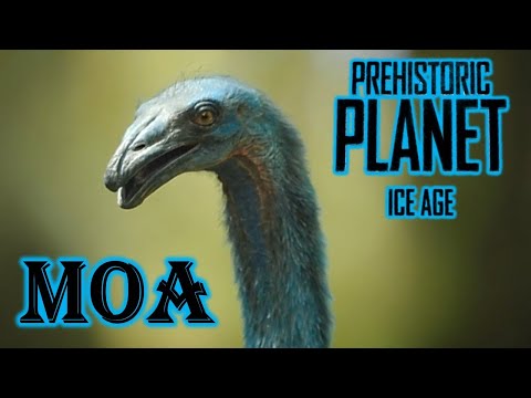 prehistoric Planet Ice age male moa screen time