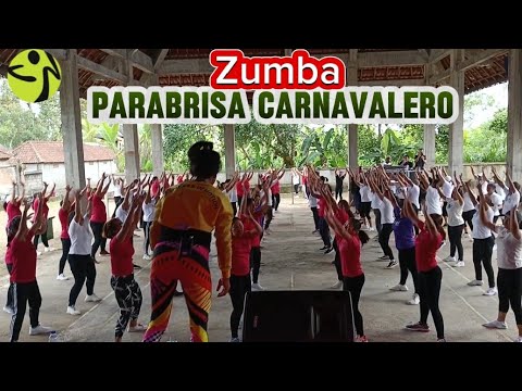 Zumba Parabrisa Carnavalero // Grup Bip Feat Checo Acosta // Zindesak Zumba