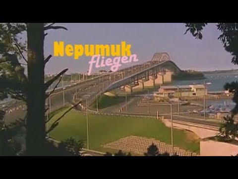nepumuk - fliegen