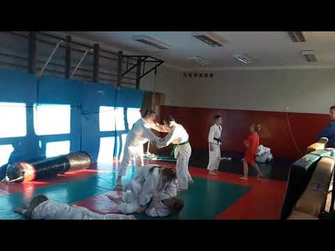 Judo "Shirokuma" Suwałki