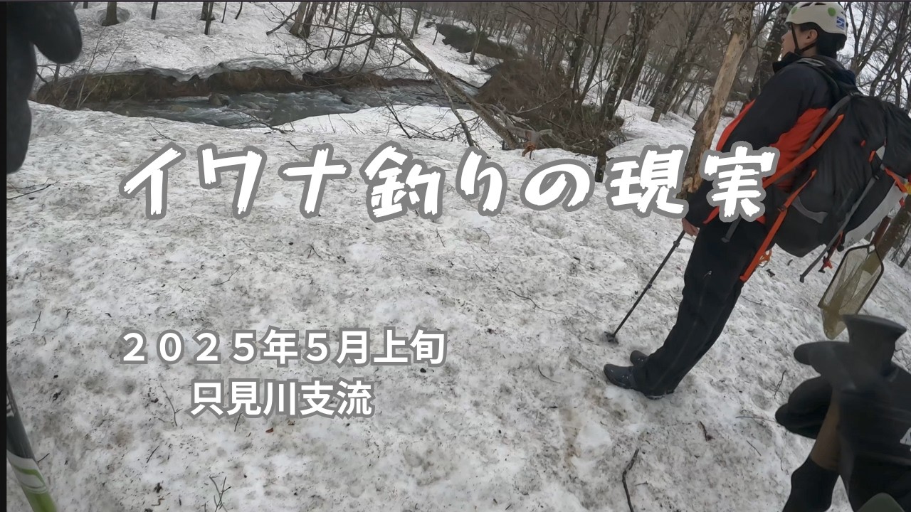 イワナ釣りの現実【２０２５年５月上旬　只見川支流】
