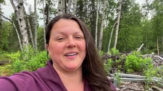 Alaska Homestead Life - Getting a full harvest out of an Alaska garden isn’t easy
