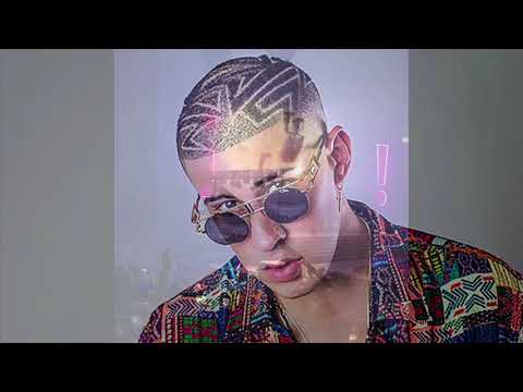 Viva Latino Chicago Spotify