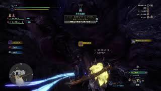 モンスターハンターワールドアイスボーン［フリークエスト消化しなきゃな配信！］