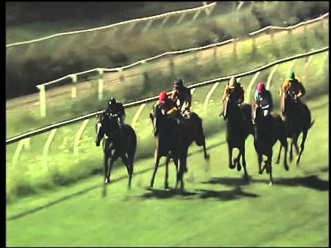 Galoppo 22/07/2015 - 6° corsa