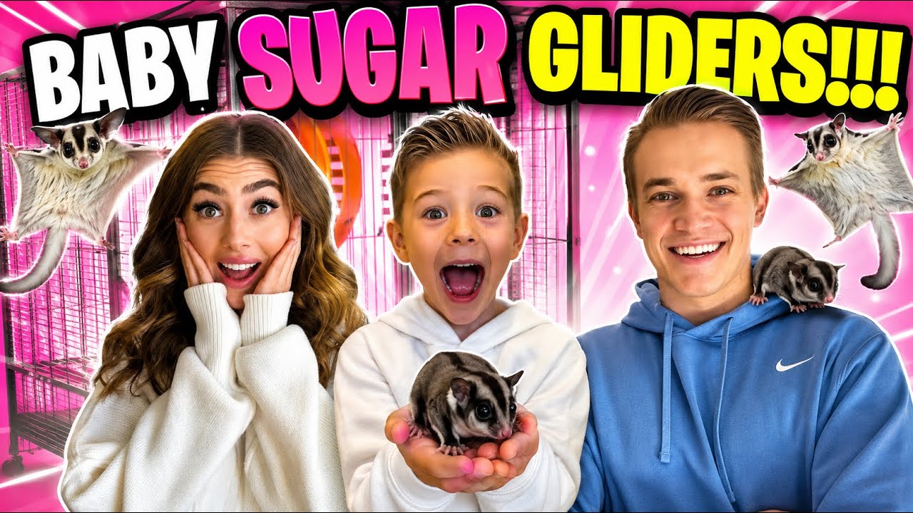 WE ADOPTED BABY SUGAR GLIDERS!!