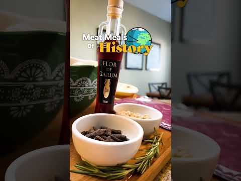 Meat Meals Of History: The Worlds OLDEST Burger!