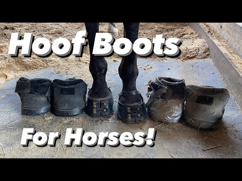 Hoof Boots review | Easyboots | Scoot Boots
