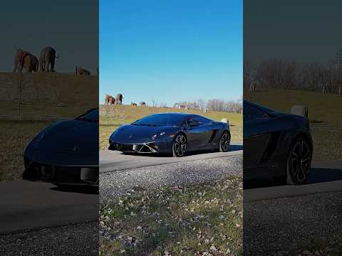 2013 Lamborghini Gallardo (CC-2023463) for sale in Volo, Illinois