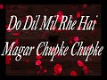 Do Dil Mil Rahe Hain 30 Sec Whatsup Status Saini Queen