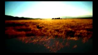 Kim Carnes - Bette Davis Eyes (Golden sunshine remix)