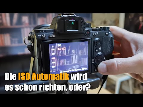 ISO automatic... it'll sort it out, won't it?