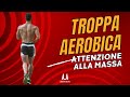 Perché L Attività Aerobica Può Compromettere La Massa Muscolare
