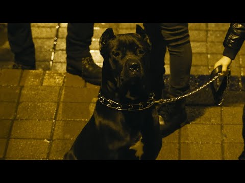 Essah & XIR - Hasta La Vista (Official Video)(Prod. by Mertcan Güngör)