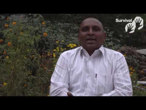 "Die Regierung versucht uns aus dem Wald zu vertreiben"