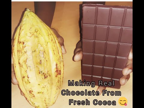 Making Real Chocolate From Cocoa #Shorts
