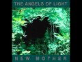 The Angels of Light -- Forever Yours 