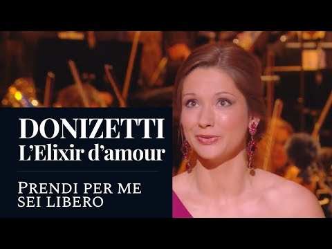 DONIZETTI : The Elixir of Love "Prendi per me sei libero" (Hélène Carpentier) [HD]