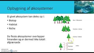 Økosystemer og grundlæggende begreber i økologien