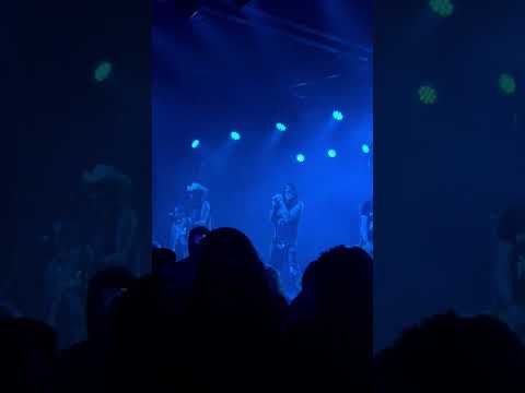 Hollywood Roses video 2