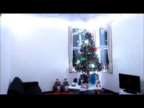 A Whitewater Christmas Special - 4th Annual Holiday Light Show (2015): Faith Noel