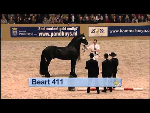 Kampioenschap oudere hengsten HK2012