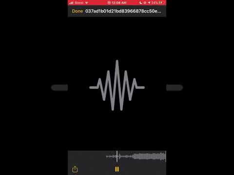 Tazzo B - UnReleased