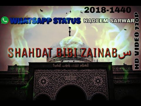 15 Rajab Whatsapp Shahdat status video Bibi Zainab s.a || Nadeem Sarwar || 2020-1441