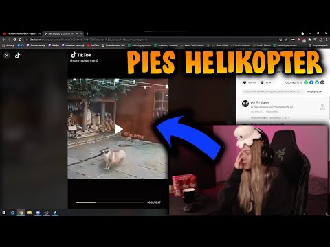 KASIX OGLĄDA PIES HELIKOPTER