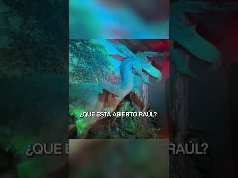 Paleo parque en Comallo, un viaje de 15 millones de años de historia, no te lo podés perder!