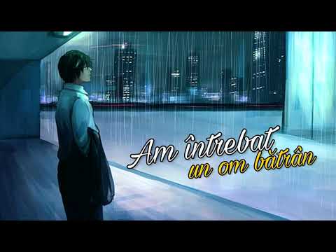 Vizante - Am intrebat un om batran