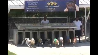 Trackinfo Video Replay Daytona Beach