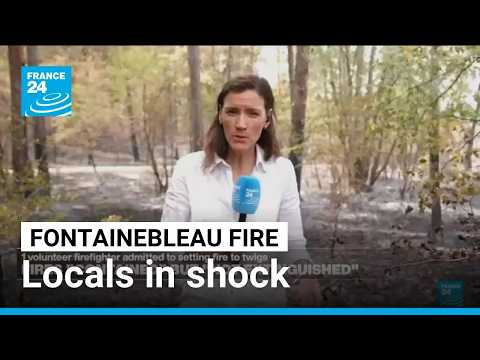 Shock and solidarity after wildfires ravage Fontainebleau