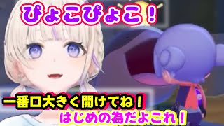 【ぽこ あ ポケモン】最推しぴょこぴょこにテンションが上がるばんちょー【ホロライブ切り抜き/轟はじめ】