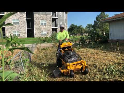 I saved a homeowner a city violation just in time