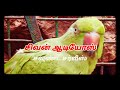 Villian Bgm Kadaikutty Singam Bgm Sivan Audios