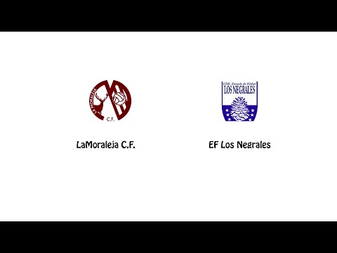 21-2-15 | La Moraleja C.F. 2 - 4 Los Negrales | Alevín