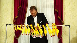 Cover art for Canada anthem (but played on rubber chickens)