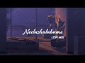 Neelashalabame Lofi Mix Malayalam Lofi Slowed Reverb Charminar