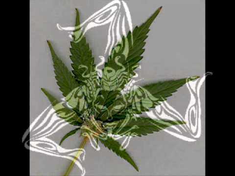 kebana.. cori e menti